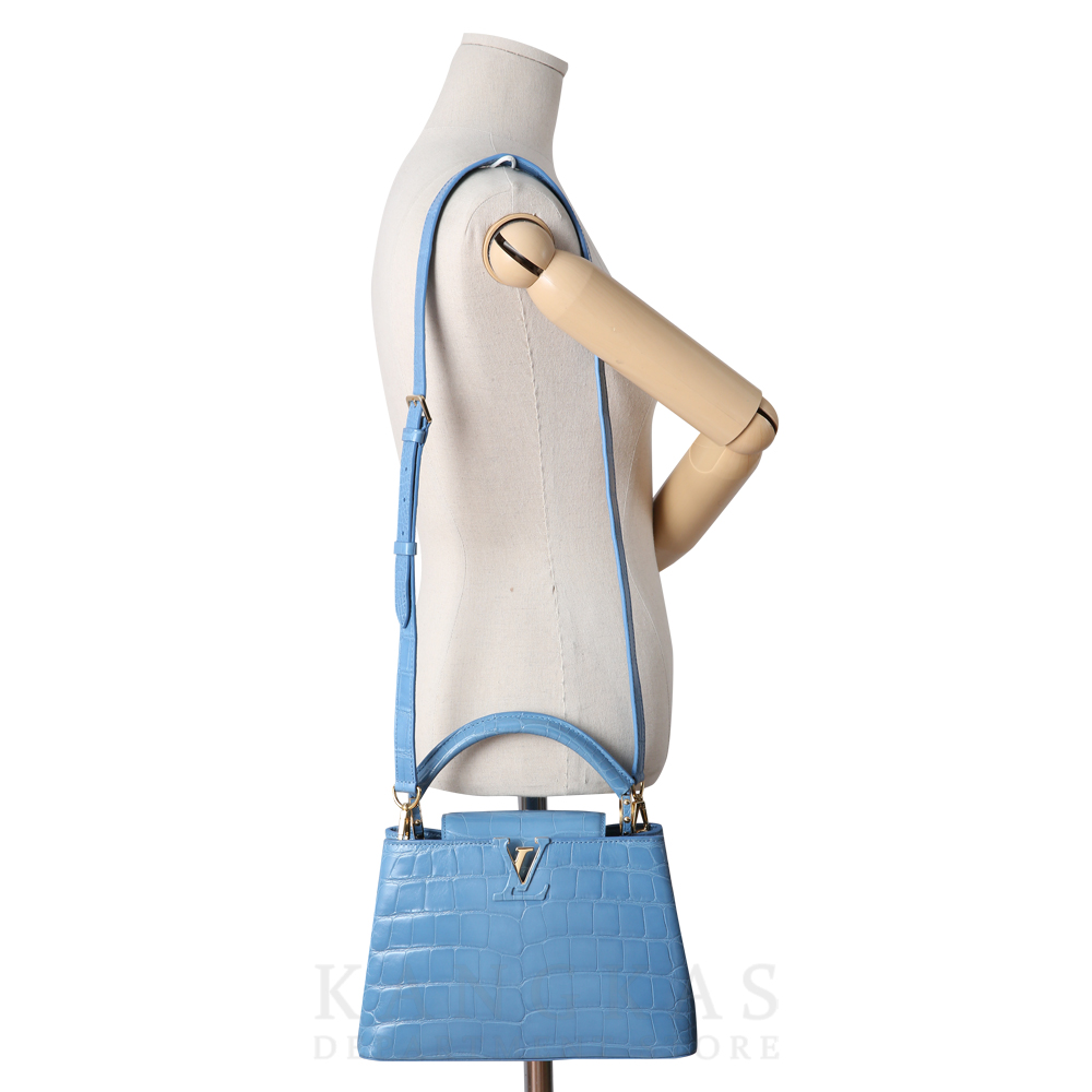 LOUIS VUITTON(USED)루이비통 와니 카퓌신 BB